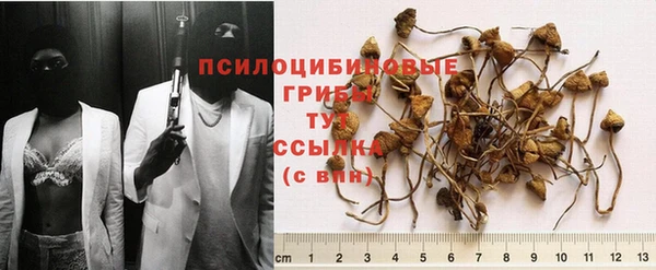 таблы Верея